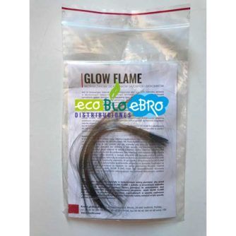 ambiente-glow-flame-ecobioebro