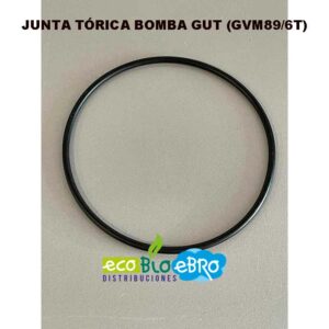 JUNTA-TÓRICA-BOMBA-GUT-(GVM89-6T)-ecobioebro