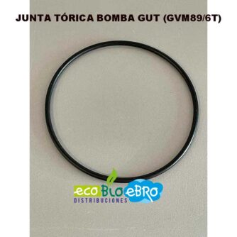 JUNTA-TÓRICA-BOMBA-GUT-(GVM89-6T)-ecobioebro