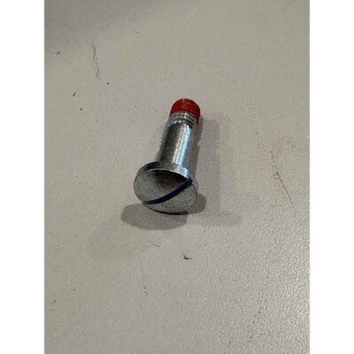 vista-ambiente-REPUESTO-TORNILLO-PARA-MANETA-CHAMANE-ORACLE-PRESAGE-(SALGUEDA-INVICTA)-ecobioebro